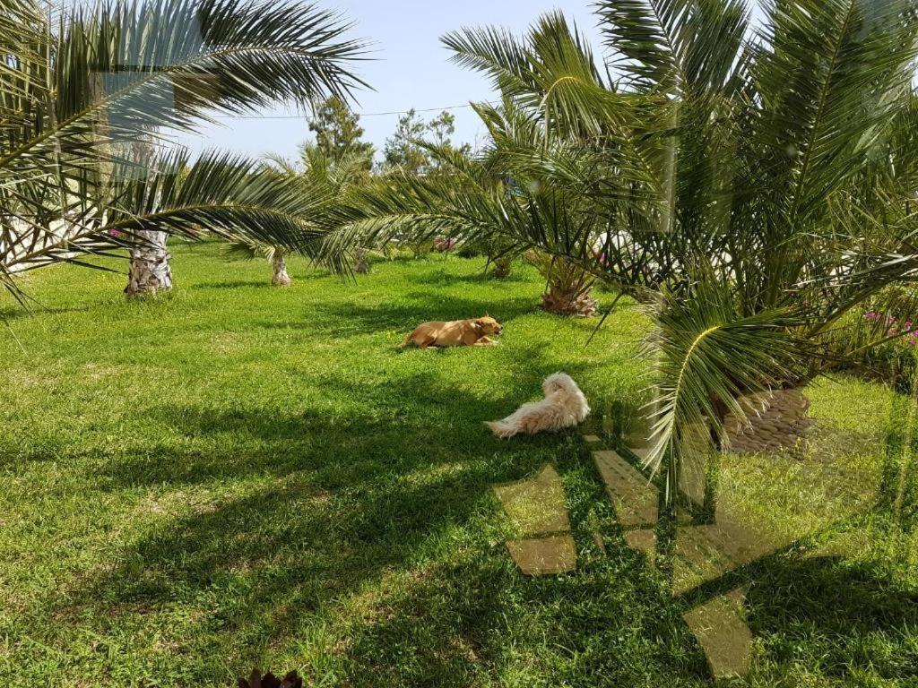 Les Jardins De Mogador Yoga Et Spa เอสเซาอิรา ภายนอก รูปภาพ