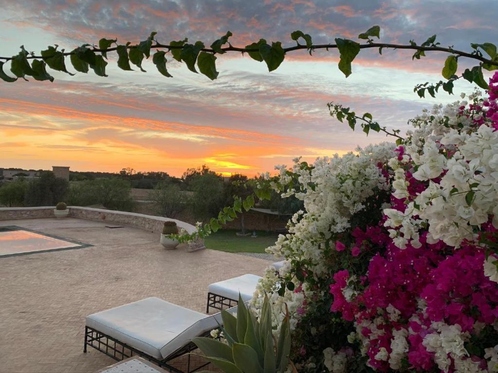 Les Jardins De Mogador Yoga Et Spa เอสเซาอิรา ภายนอก รูปภาพ